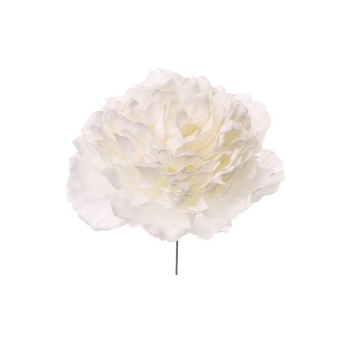 PICK PEONIA CM12 WHITE